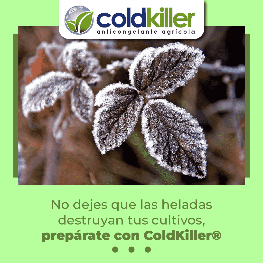 ¿Qué es ColdKiller? Características y cómo usarlo